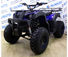 Квадроцикл Avantis (Авантис) ATV Classic 200 Синий