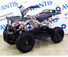 Детский квадроцикл Avantis (Авантис) ATV Classic E 800W Граффити красный