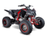Детский квадроцикл Mikilon (Микилон) Rapide 250S Красный