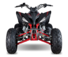 Детский квадроцикл Mikilon (Микилон) Rapide 250S Красный